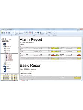 Expert software model DDS