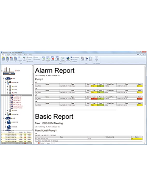 Expert software model DDS